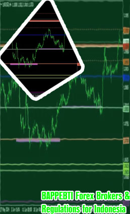 Broker forex bappebti 2024