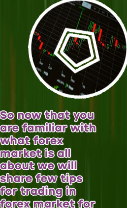 Forex trader meaning