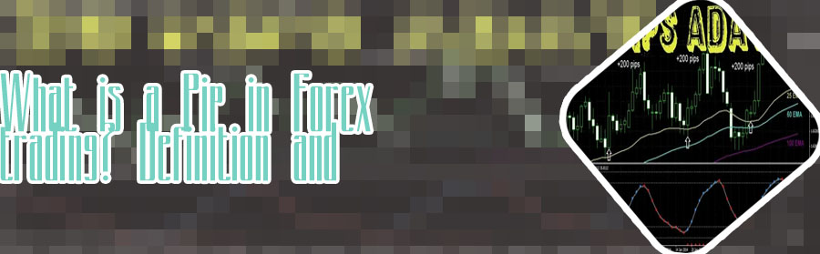What is forex trading pips